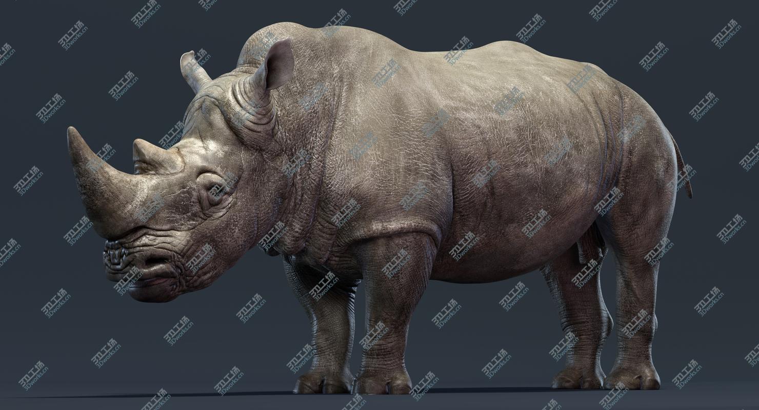 images/goods_img/20210319/3D Rhino/4.jpg